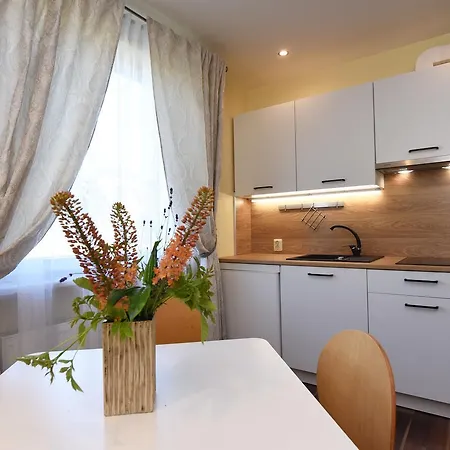 Apartment Vila Gile Palanga