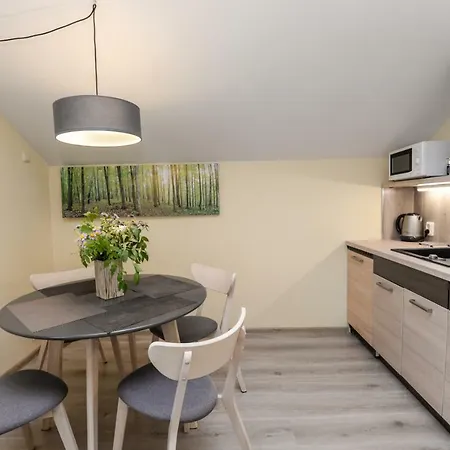 Apartment Vila Gile *