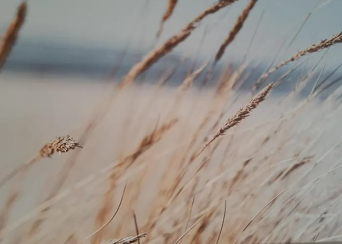 Gile Апартаменты